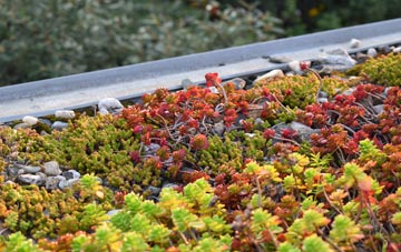 the cost of Sparrow Hill green roof installation
