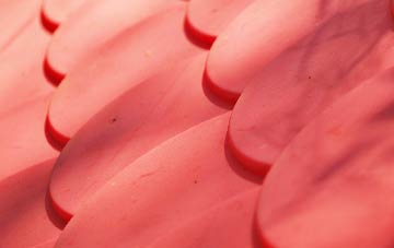 Sparrow Hill plastic roof costs