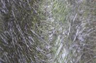 Sparrow Hill fibreglass roof work